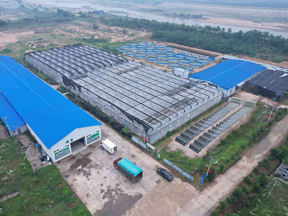 Solar Power Containers for Fuente de alimentación autoproporcionada